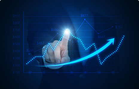 完善制度，规范流程，严格履行信息披露义务