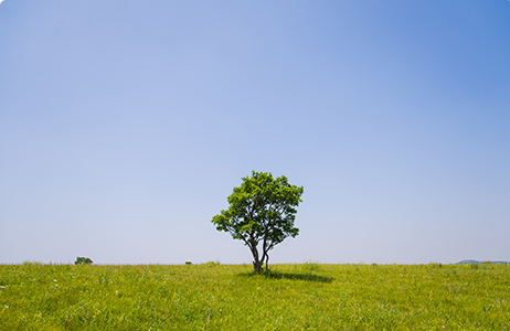 完善制度，规范流程，严格履行信息披露义务