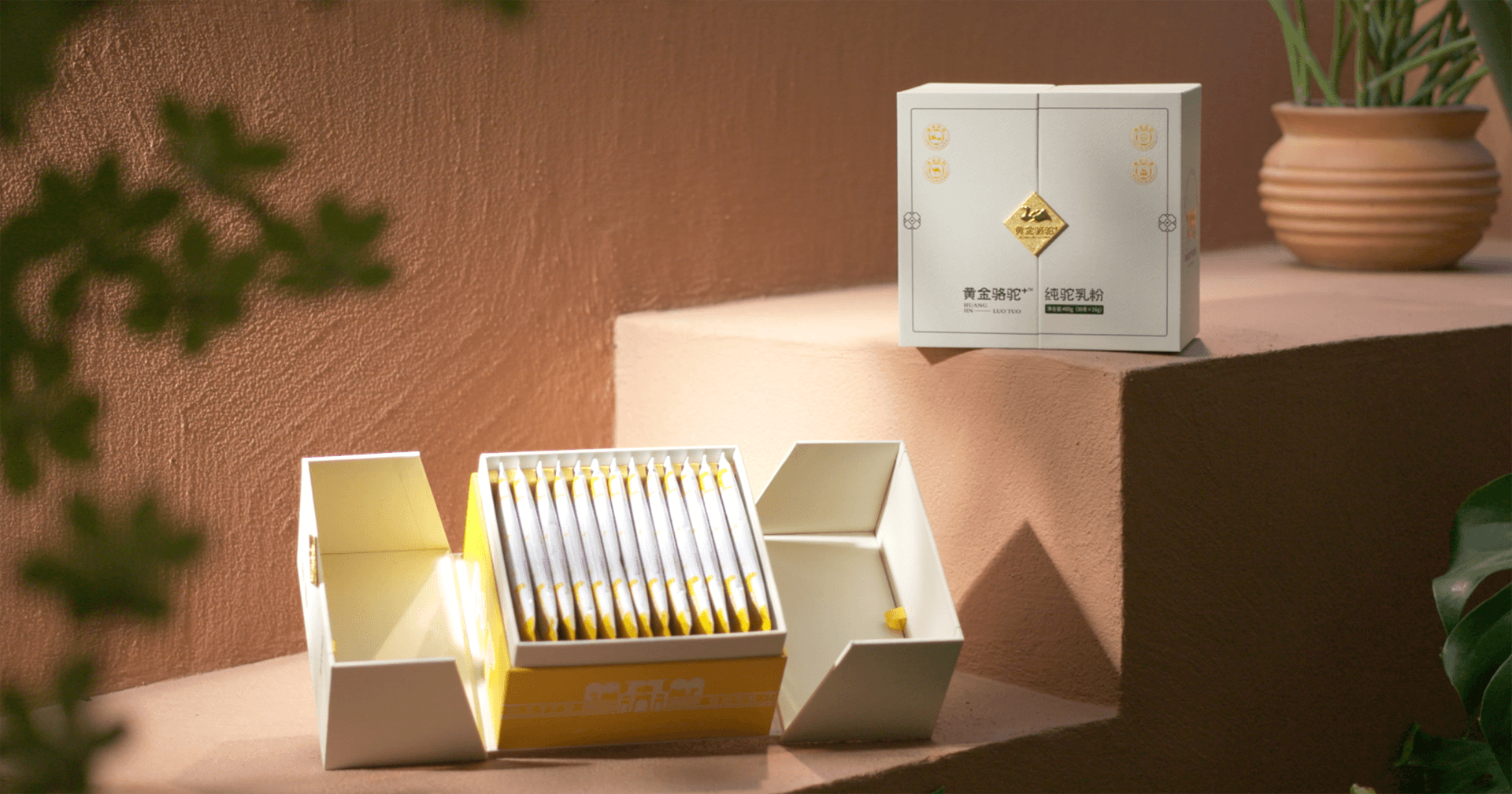 定位小众高端乳粉，jinnianhui今年会推出驼奶品牌“黄金骆驼+”，角逐乳品新市场！